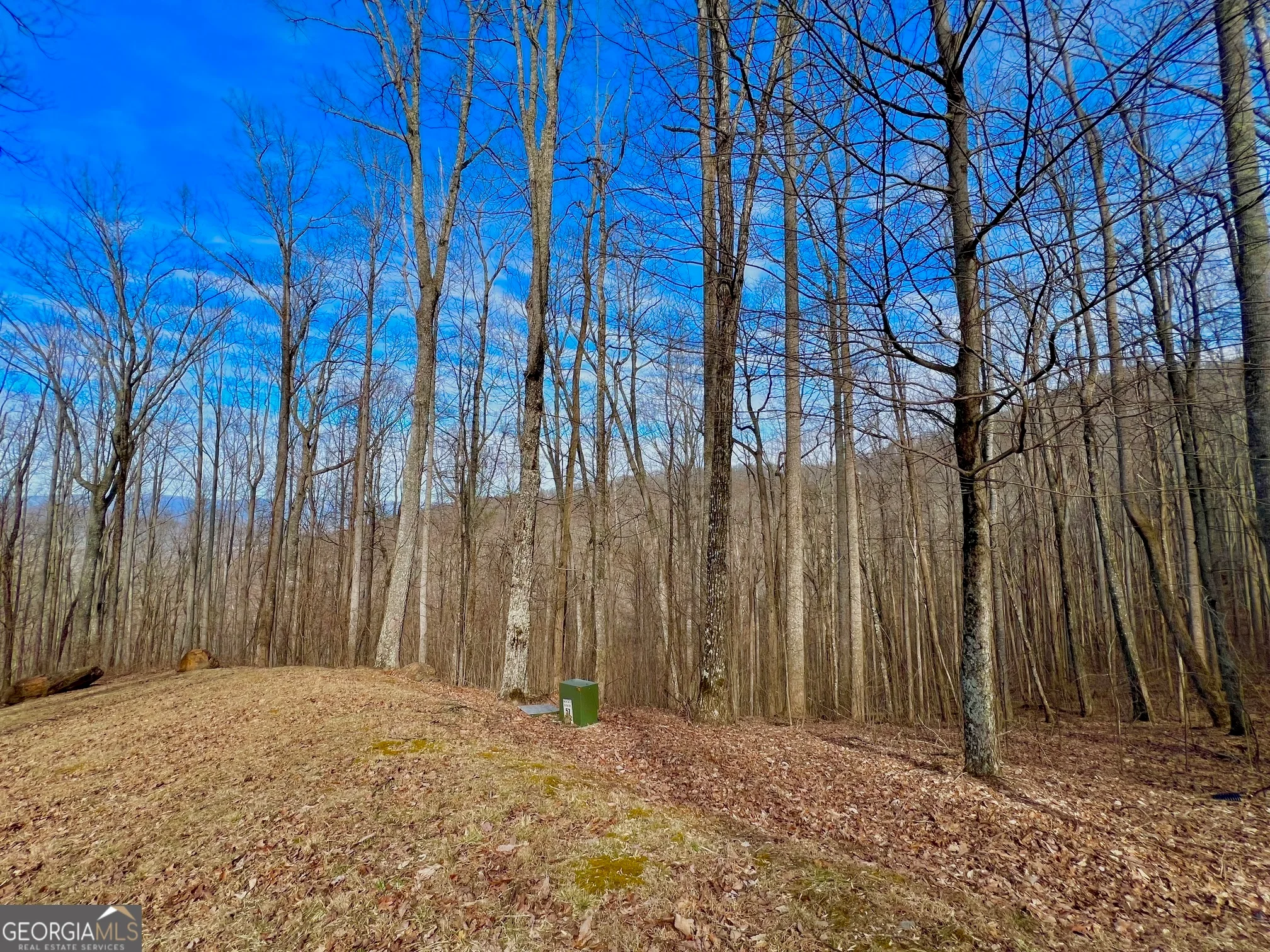57 Rim Rock