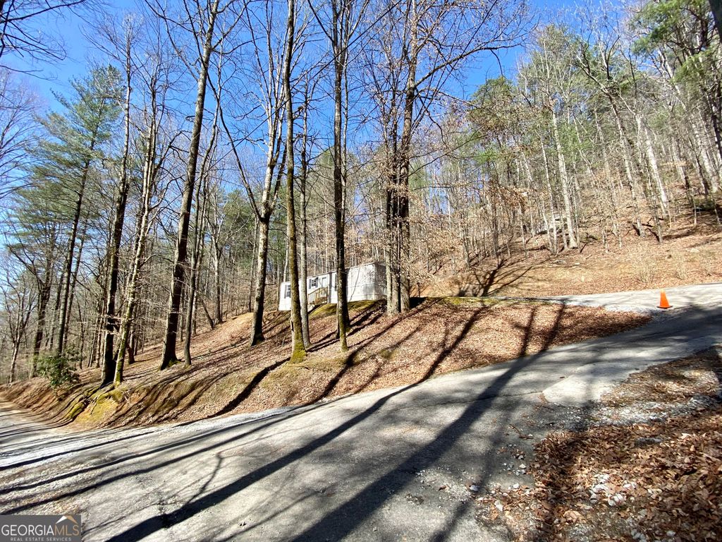 Photo of 119 Cub Lane, Rabun Gap, GA 30568 (MLS # 10710557)