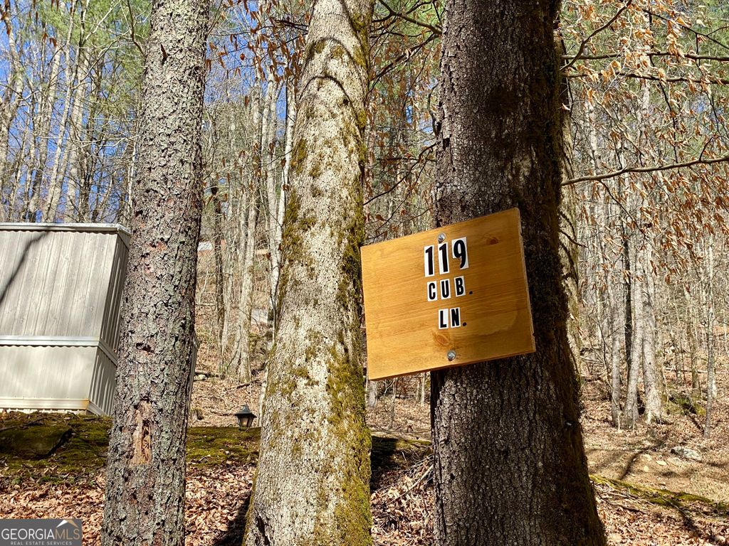 Photo of 119 Cub Lane, Rabun Gap, GA 30568 (MLS # 10710557)