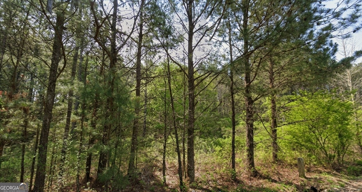 0 Collard Valley RD LOT 1