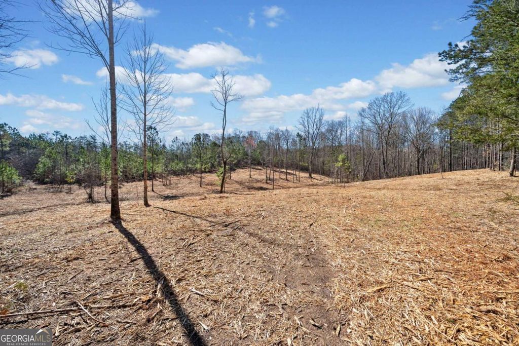 Photo of 426 Mt. Olive Church Lane, White, GA 30184 (MLS # 10667579)