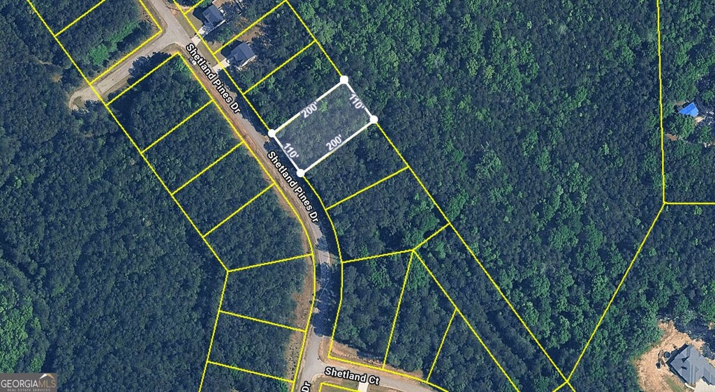 Photo of 147 Shetland Pines Drive, Macon, GA 31216 (MLS # 10835915)