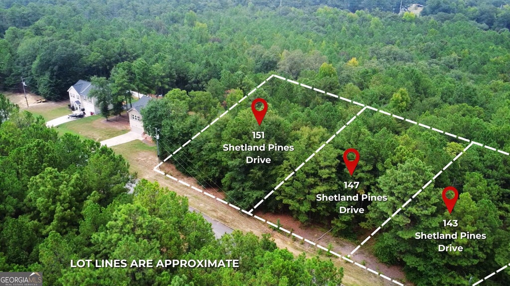 Photo of 147 Shetland Pines Drive, Macon, GA 31216 (MLS # 10835915)