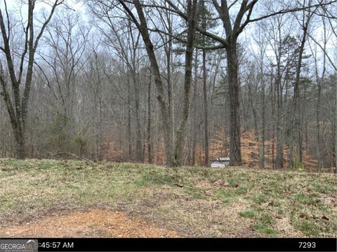 00 Bethany ST Tallapoosa GA 30176