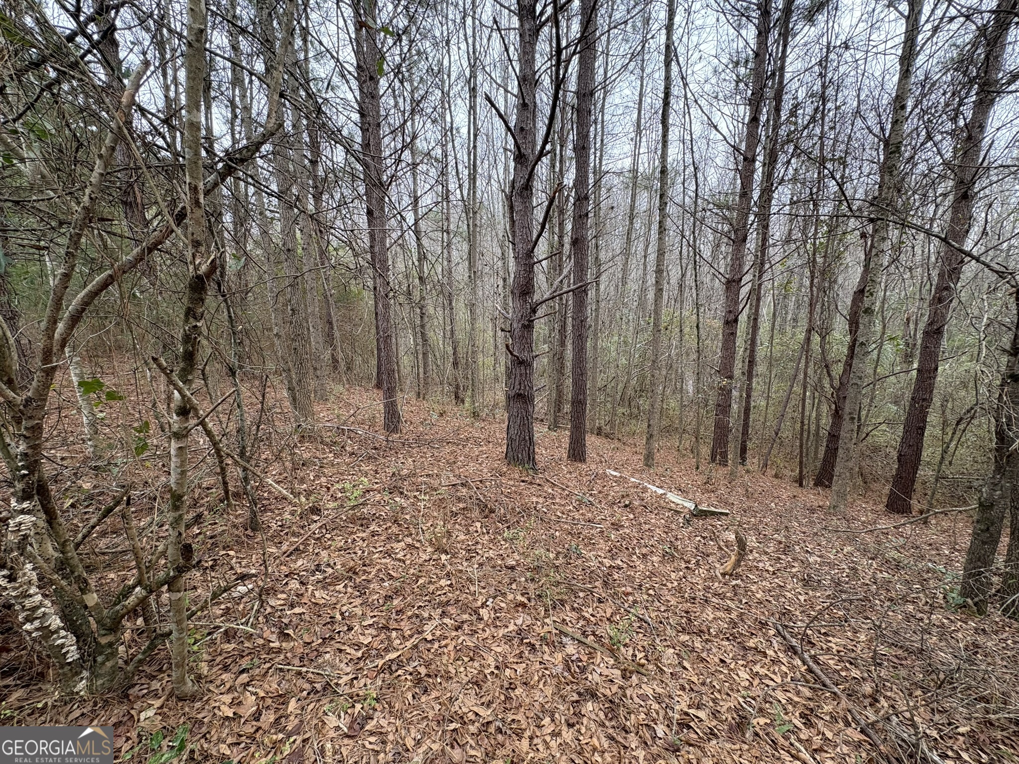 125 Cardell Farms RD 57