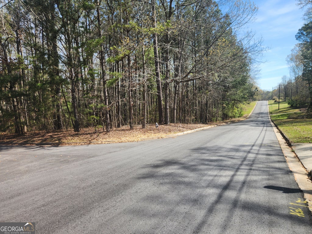 Photo of 0 Salem Court, McDonough, GA 30252 (MLS # 10794654)
