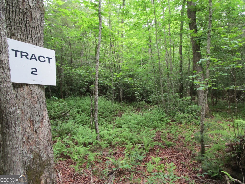 Photo of 2 E New Hope Road, Ellijay, GA 30536 (MLS # 10783089)