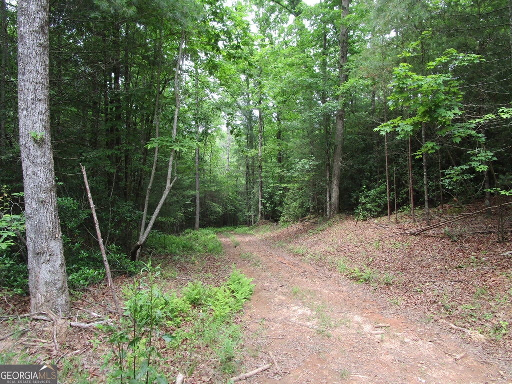 Photo of 2 E New Hope Road, Ellijay, GA 30536 (MLS # 10783089)