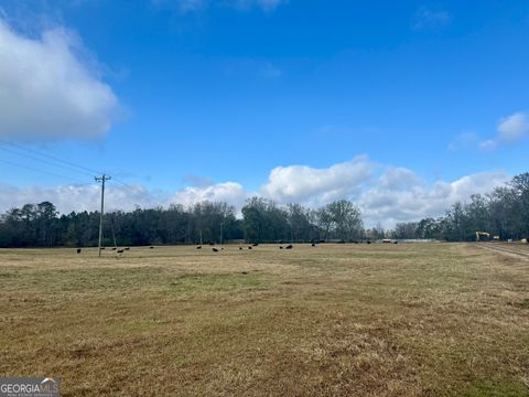 Photo of 1111 Billy Merritt Road, Greensboro, GA 30642 (MLS # 10656063)