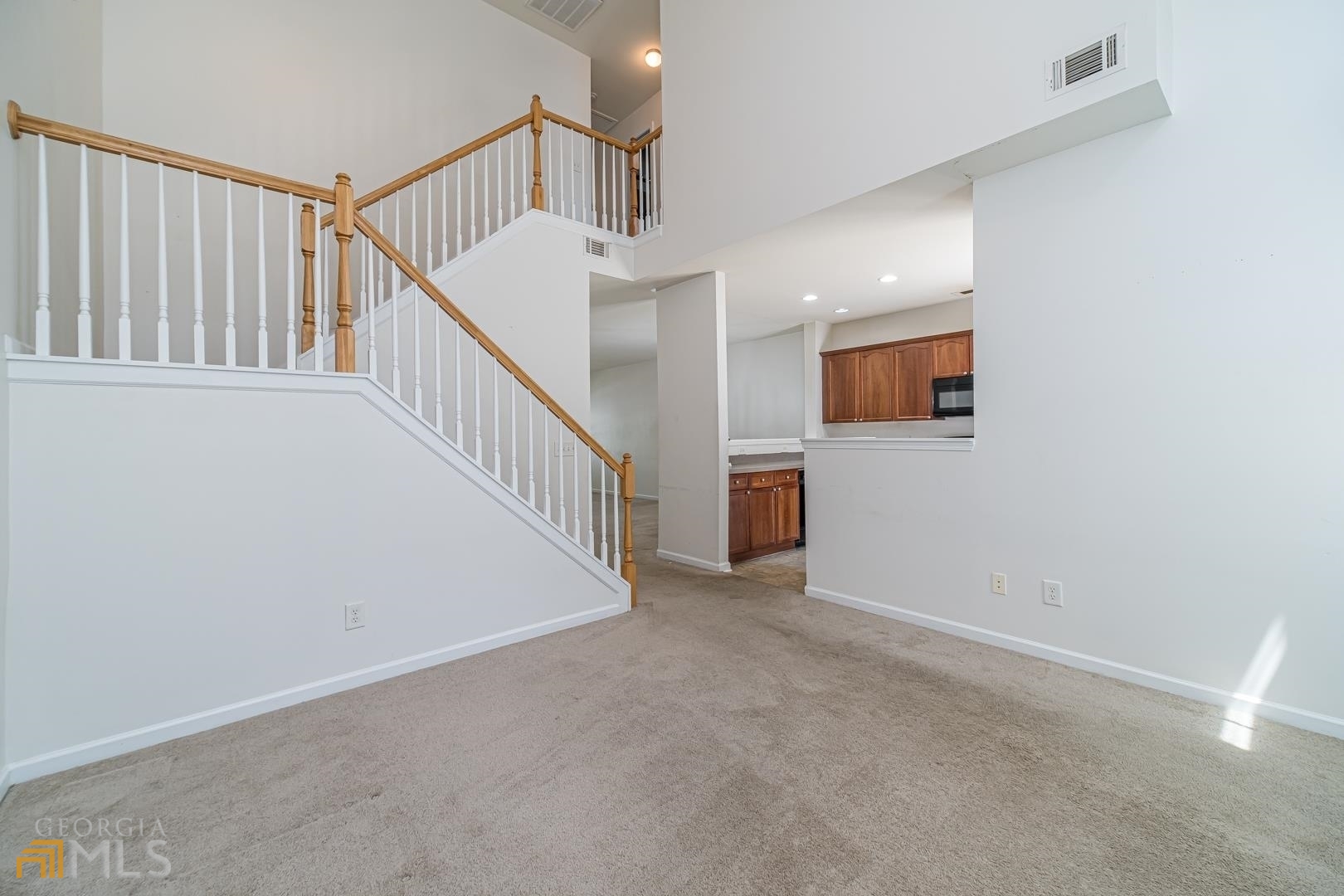 Little Suwanee Pointe - Residential