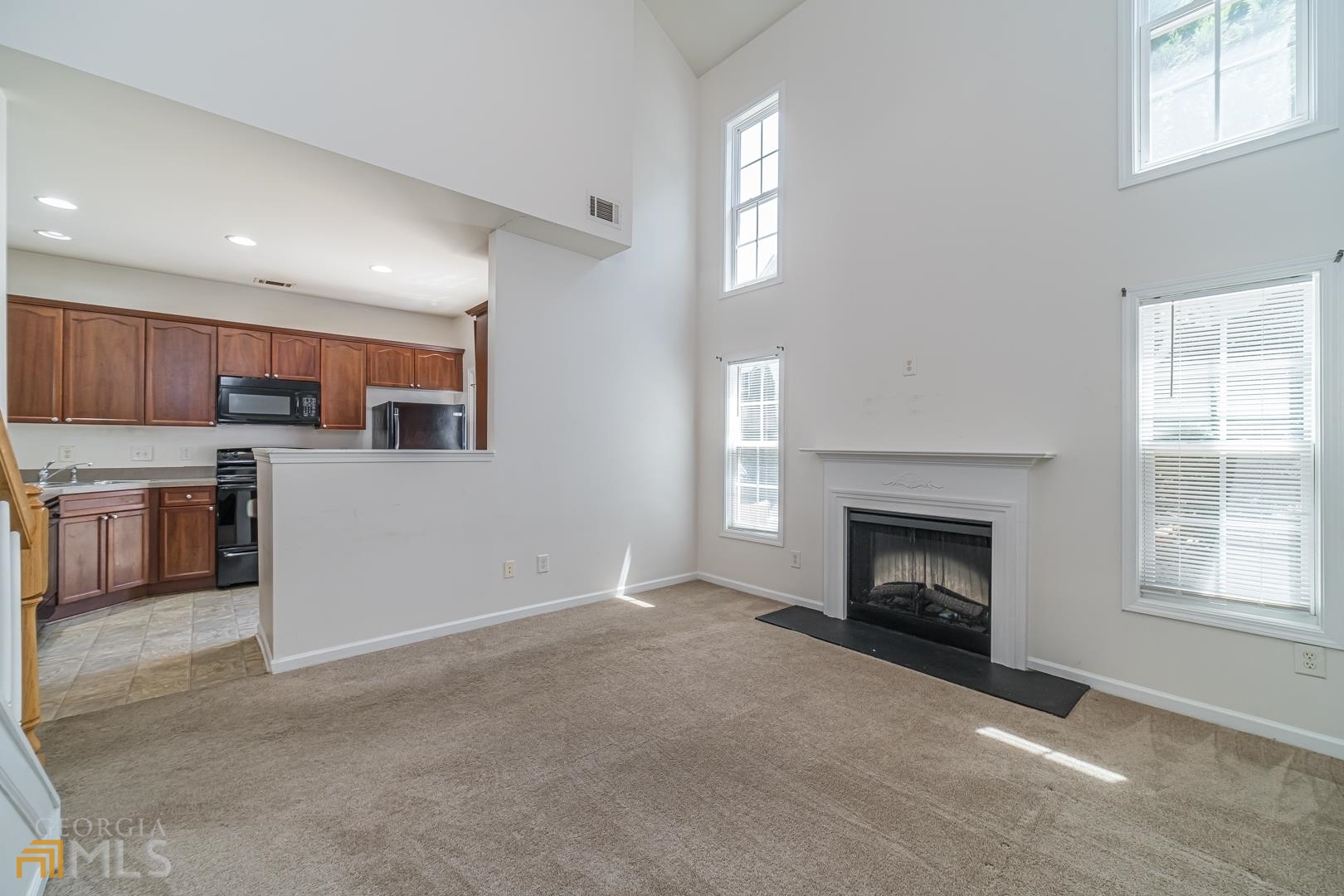 Little Suwanee Pointe - Residential