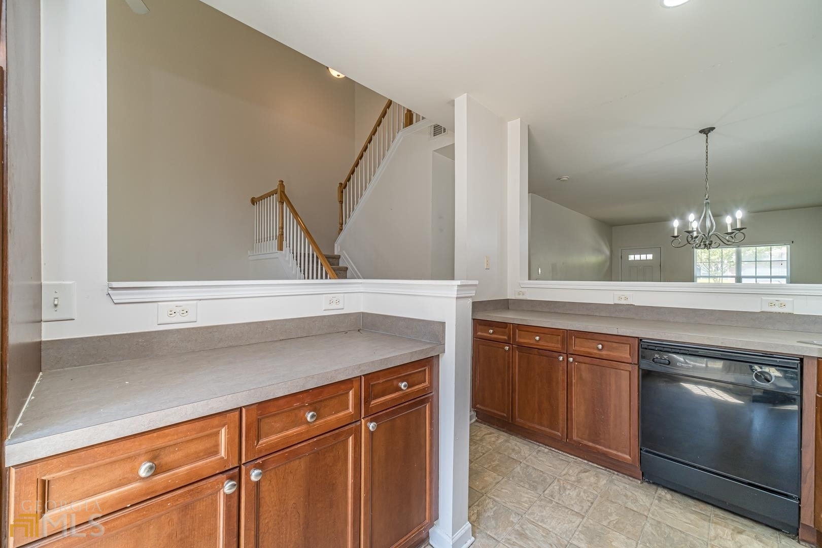 Little Suwanee Pointe - Residential
