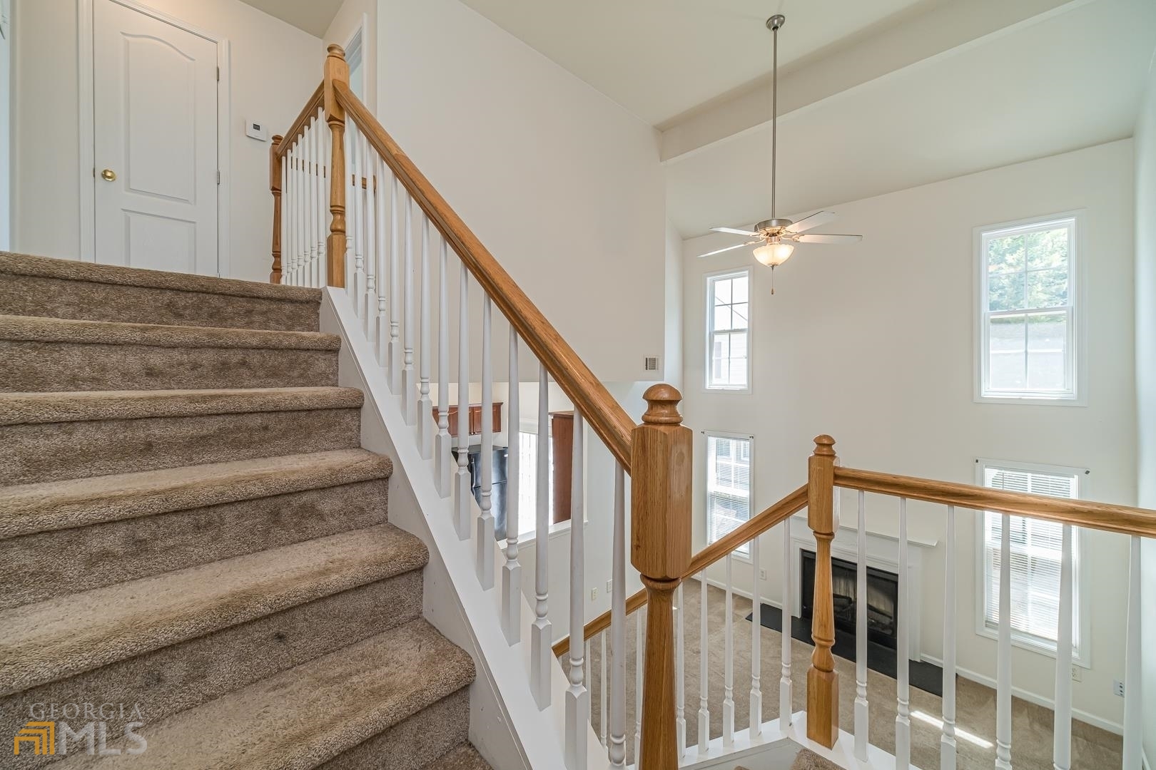 Little Suwanee Pointe - Residential