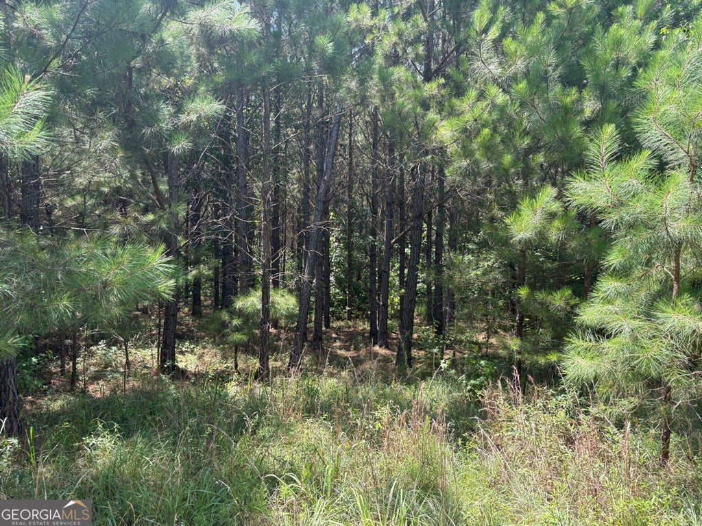 Photo of 3 GA-56, Waynesboro, GA 30830 (MLS # 10881225)