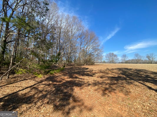 22 MAJESTIC SHRS, HARTWELL, GA 30643 - Image 1ec31ef3ed79d0ec7f016785d8d9f5bd/1541975154