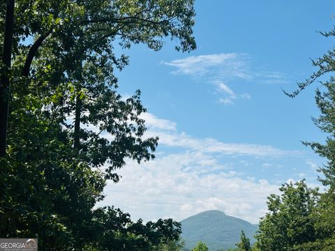 0 Rosen Strasse - LOT 141 Helen GA 30545