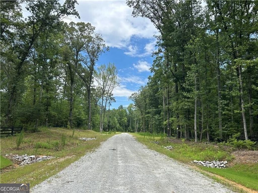 Photo of 0 Hamilton Road #10, Chattahoochee Hills, GA 30268 (MLS # 10809348)
