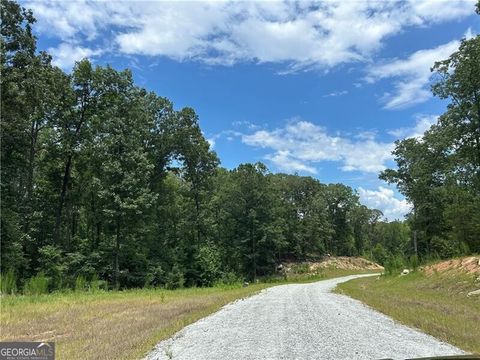 Photo of 0 Hamilton Road #10, Chattahoochee Hills, GA 30268 (MLS # 10809348)