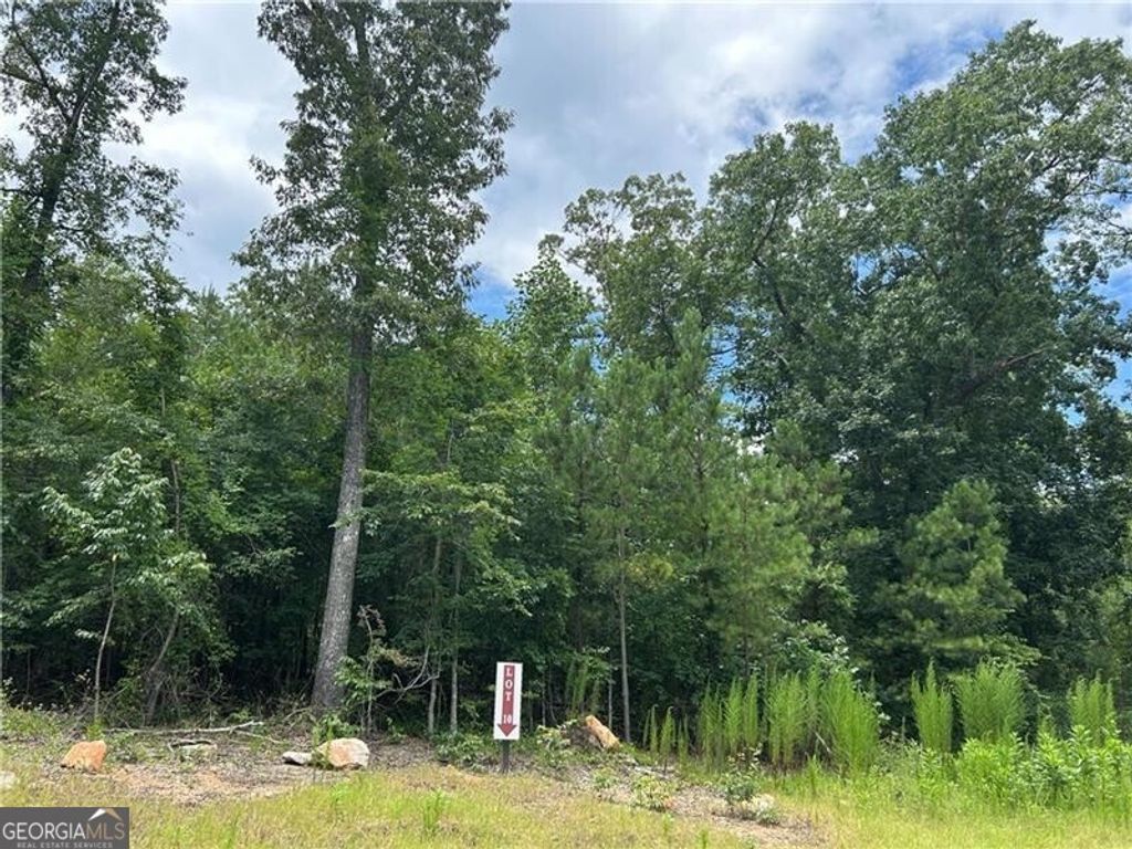 Photo of 0 Hamilton Road #10, Chattahoochee Hills, GA 30268 (MLS # 10809348)