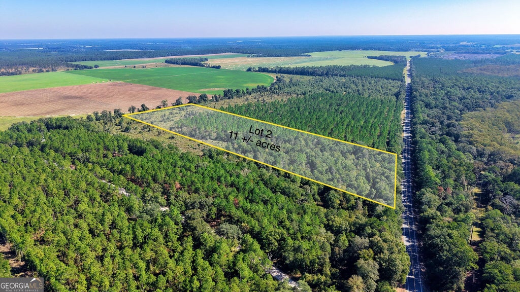 Photo of 1 Old Pelham Road, Climax, GA 39834 (MLS # 10875775)