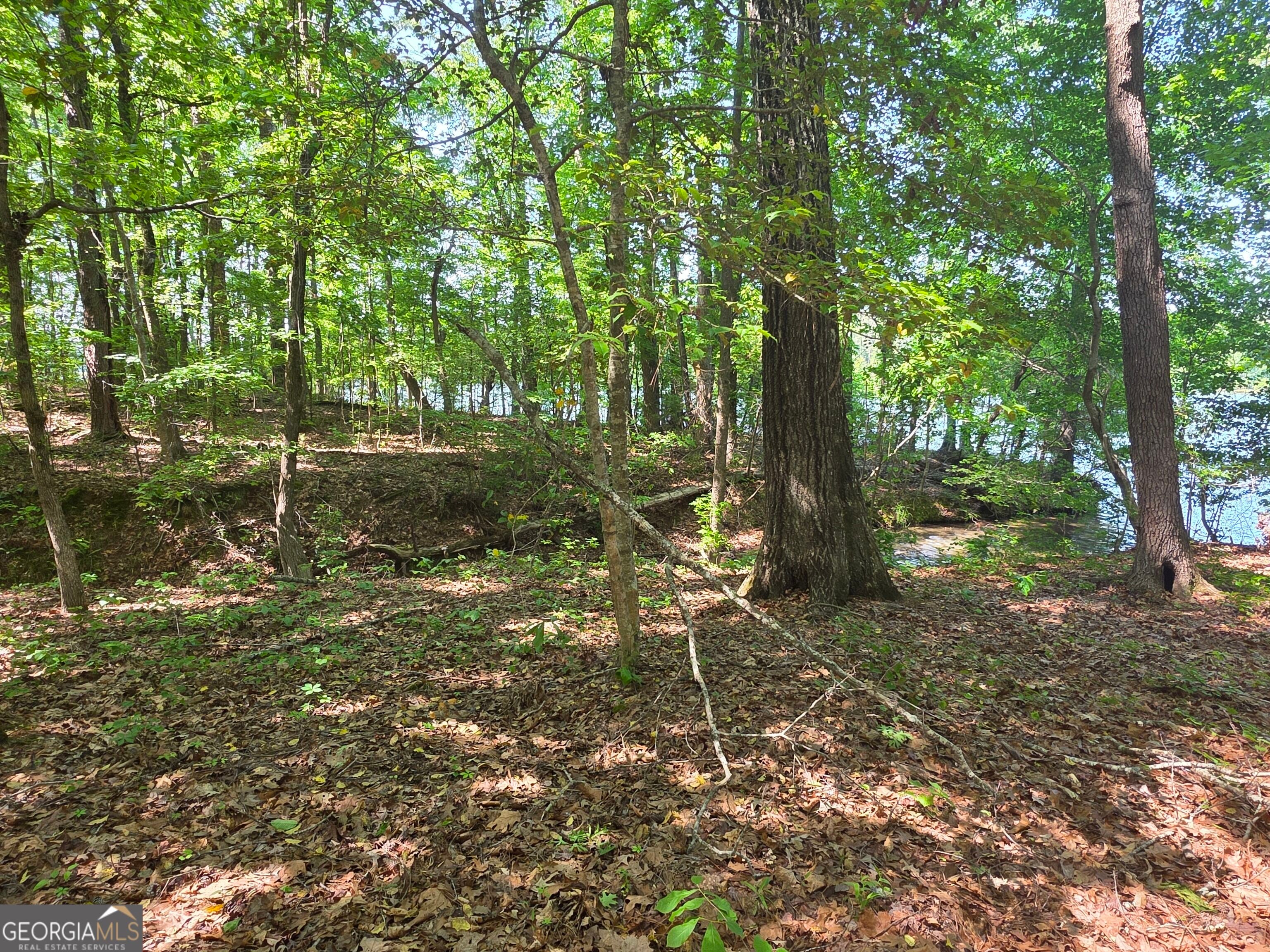 115 Cornish Trace DR