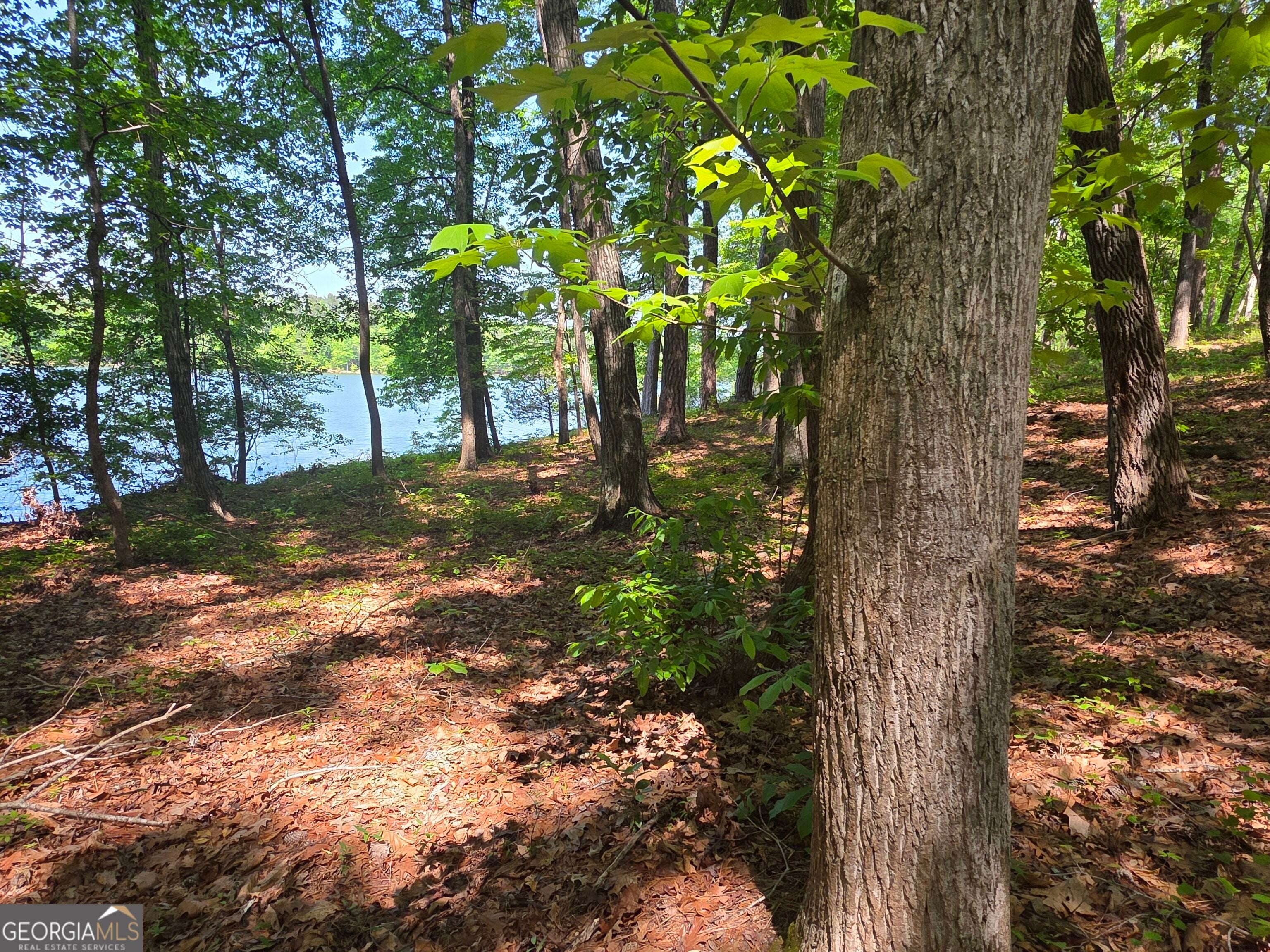 115 Cornish Trace DR