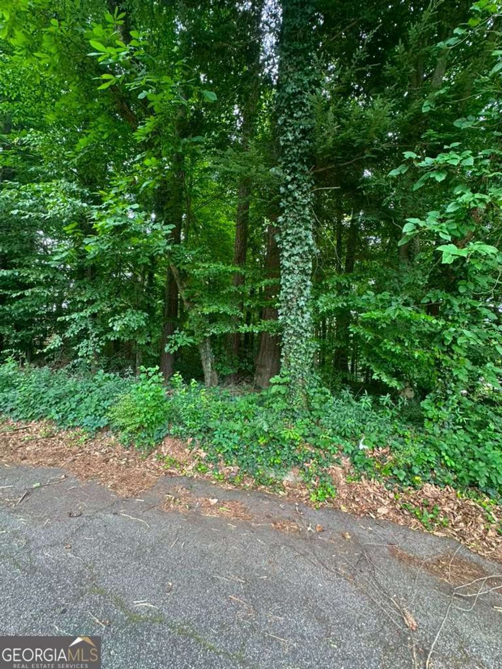 Photo of 721 Aberdeen Drive, Stone Mountain, GA 30083 (MLS # 10793492)