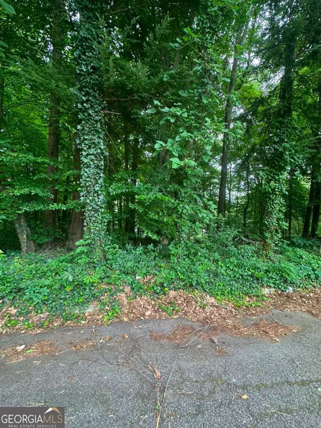Photo of 721 Aberdeen Drive, Stone Mountain, GA 30083 (MLS # 10793492)