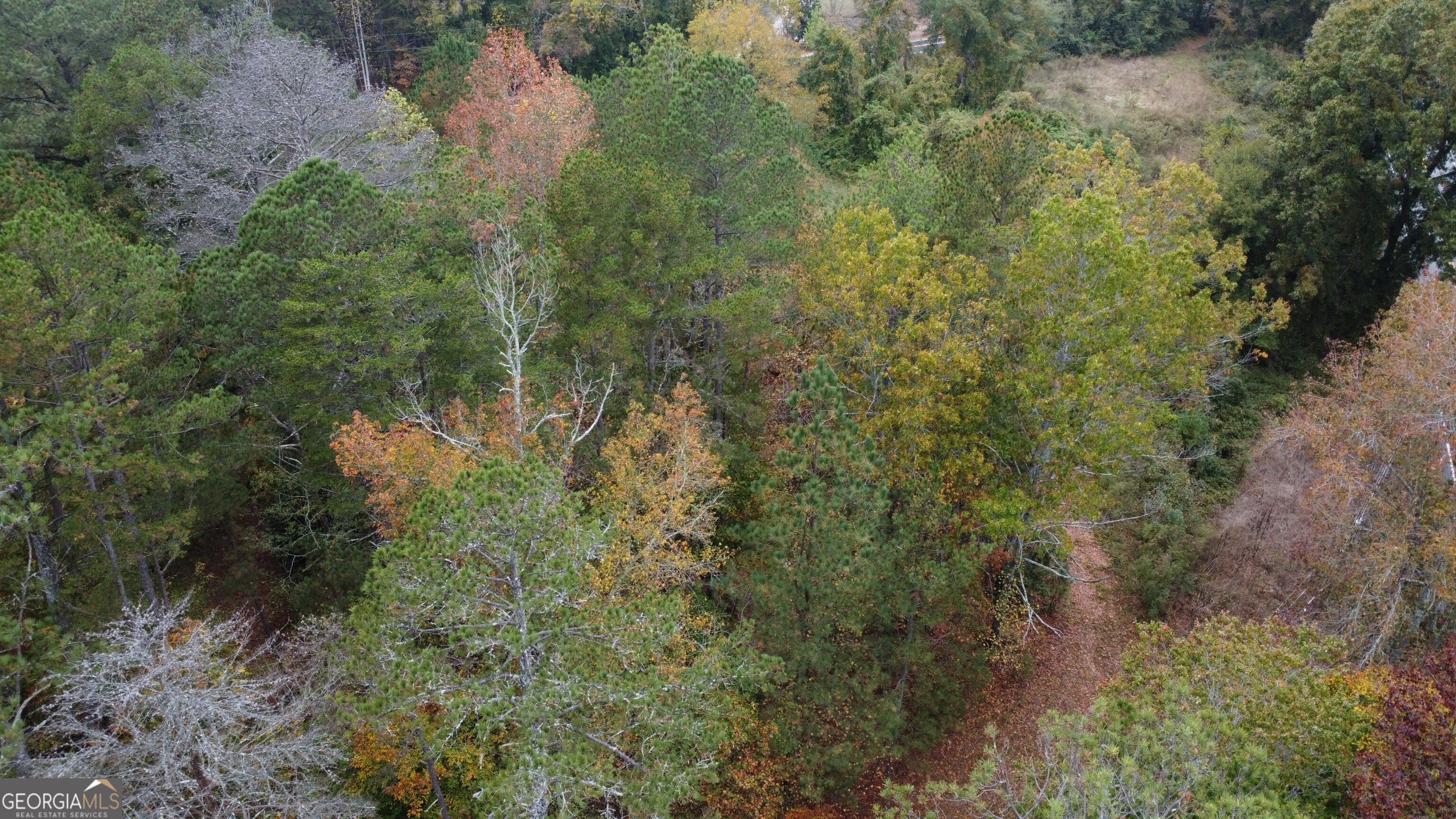 3069 Thompson Mill RD