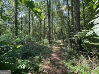 An exceptional opportunity to build in Rome's growing northwest corridor-this level, unimproved lot offers the foundation for your dream home in a peaceful, established area. This lot is a blank canvas level terrain, utilities ready, and neighborhood schools in close reach all at an affordable entry price for custom home builders or investors in Rome's real estate market. Whether constructing your forever home or holding it for future appreciation, this parcel delivers potential and flexibility.