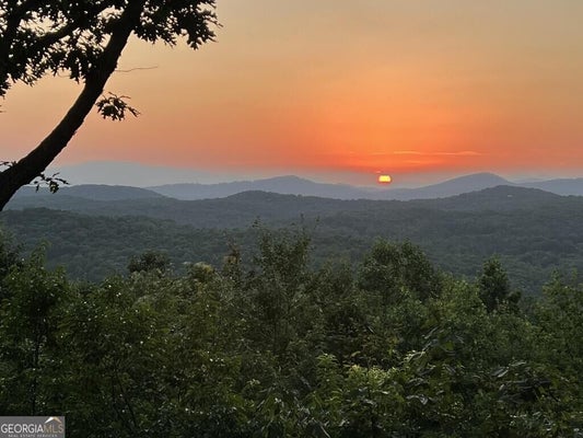 OAK LEDGE RD, MORGANTON, GA 30560 - Image 1f38b5d620b47d2cbef3d3ccb6a9c84b/2089832714