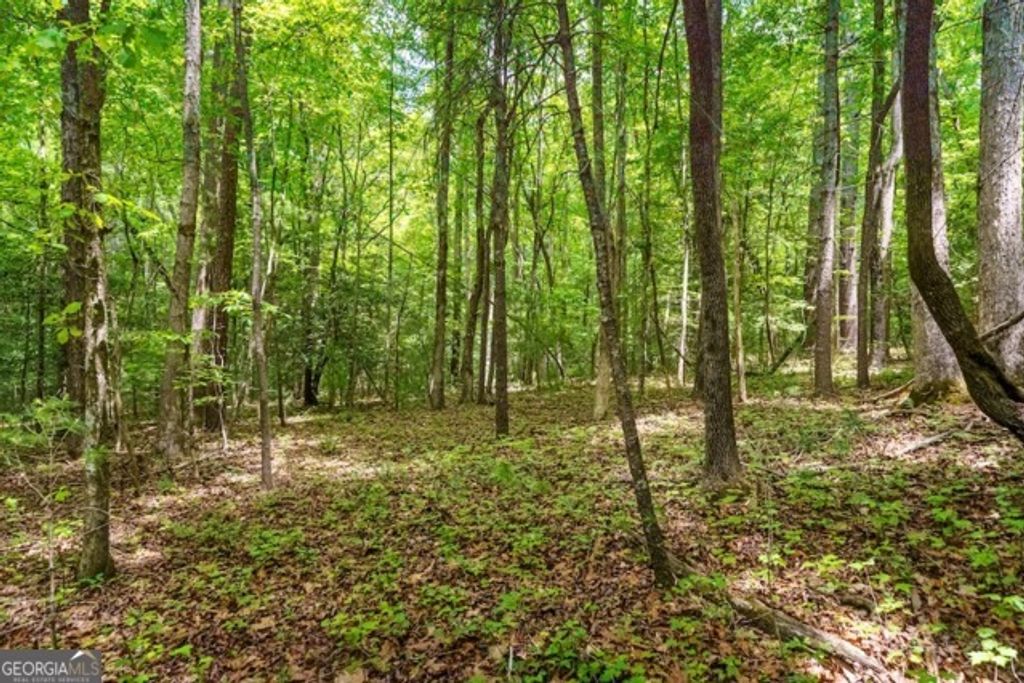 Photo of 32 Oceola Drive, Ellijay, GA 30540 (MLS # 10766849)