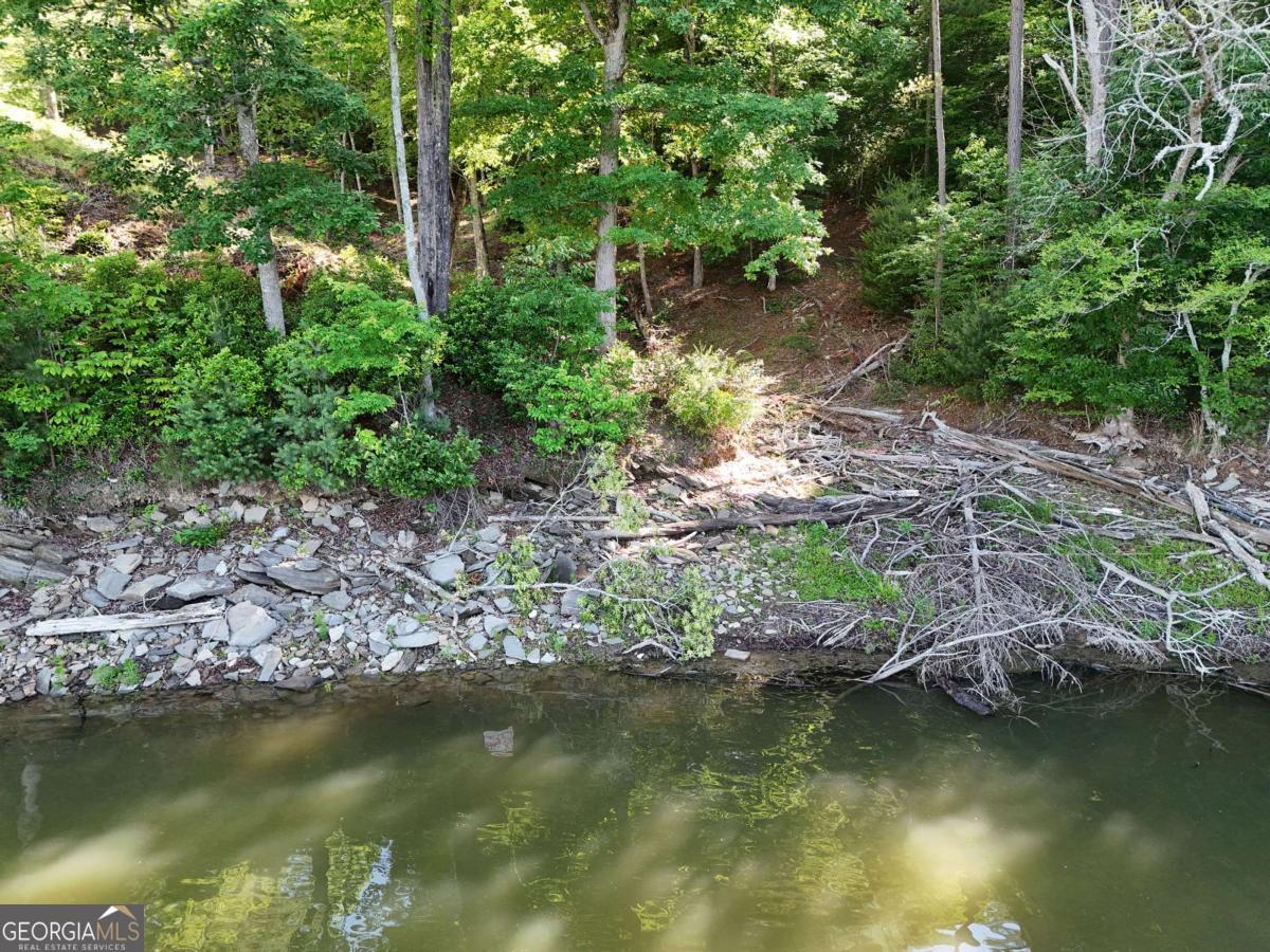 LOT 1 Big Knoll DR 1
