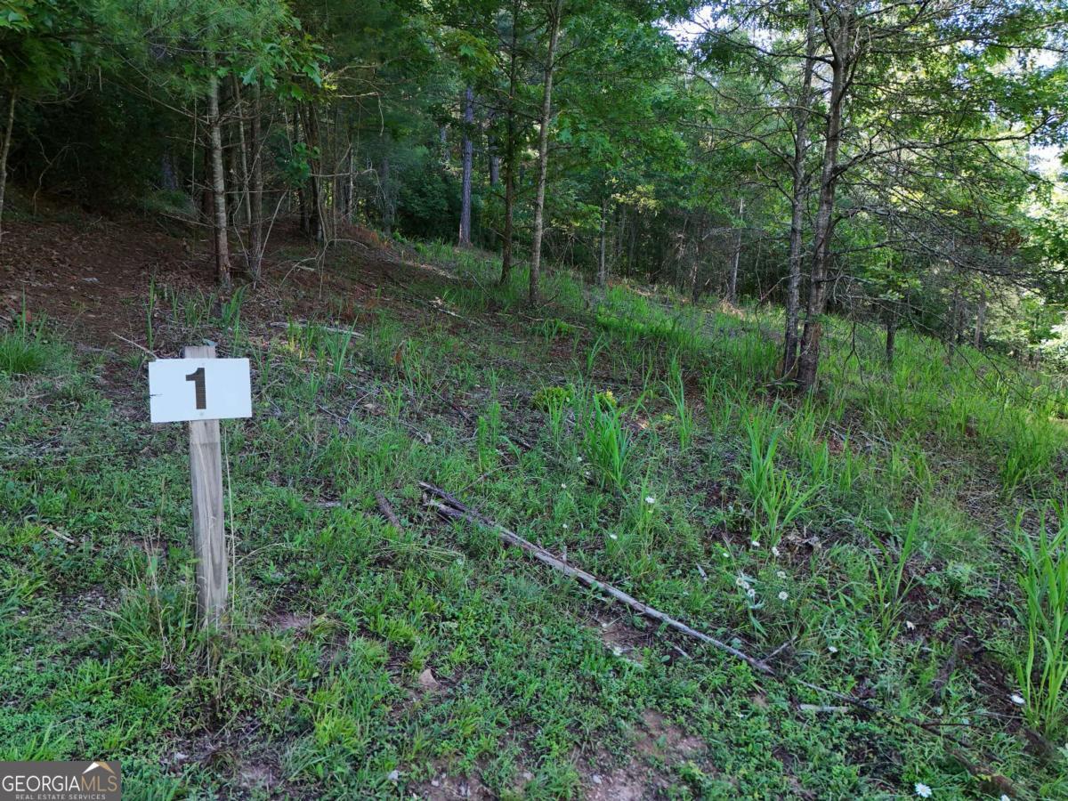 LOT 1 Big Knoll DR 1