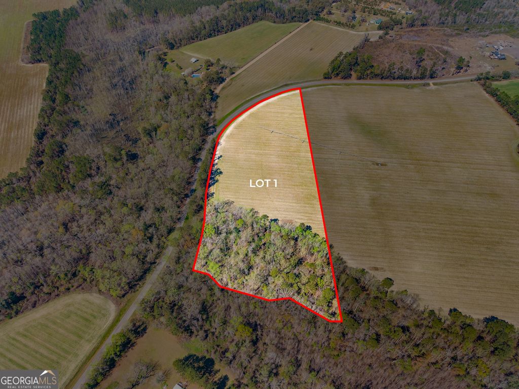 Photo of 0 Stilson Leefield Rd Lot 1, Brooklet, GA 30415 (MLS # 10717738)