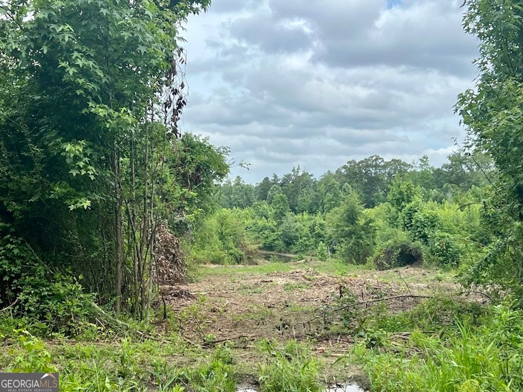 Photo of 000 Folds Rd (Tract D 22.67 acres), Carrollton, GA 30116 (MLS # 10760309)