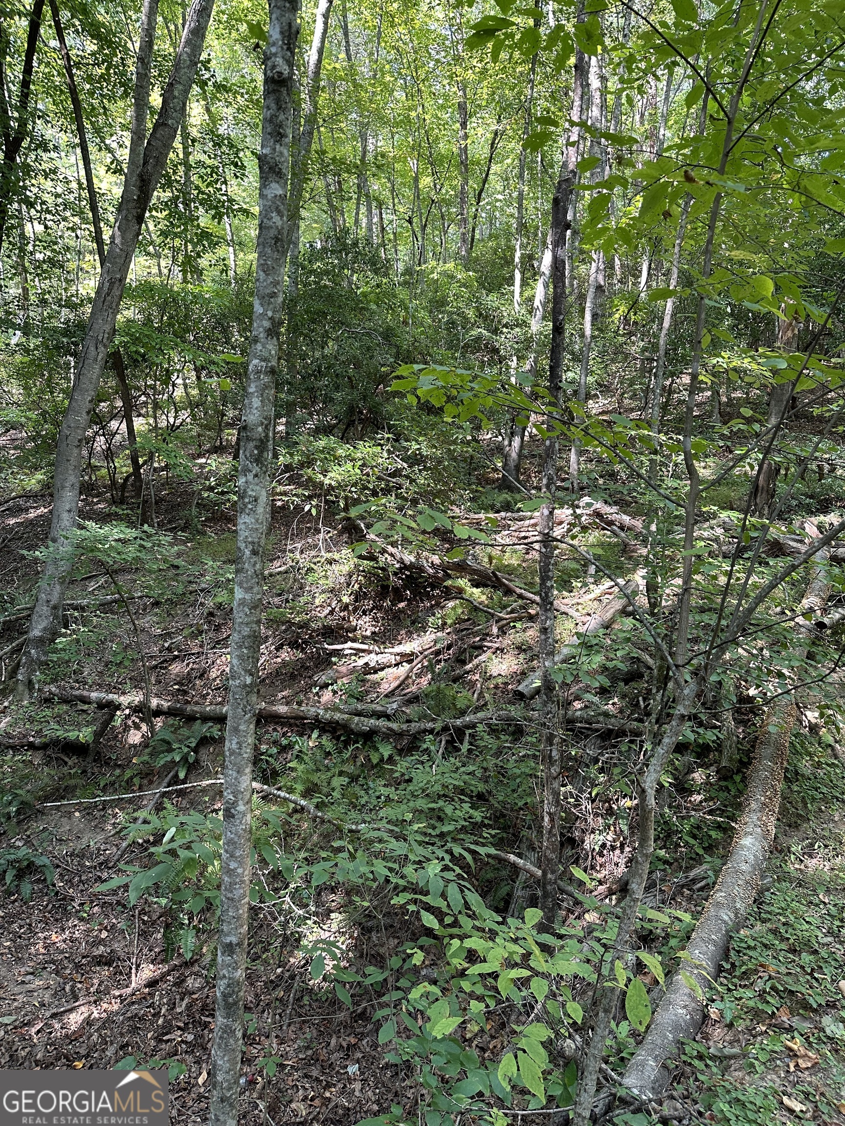 TRACT A Fielder RD