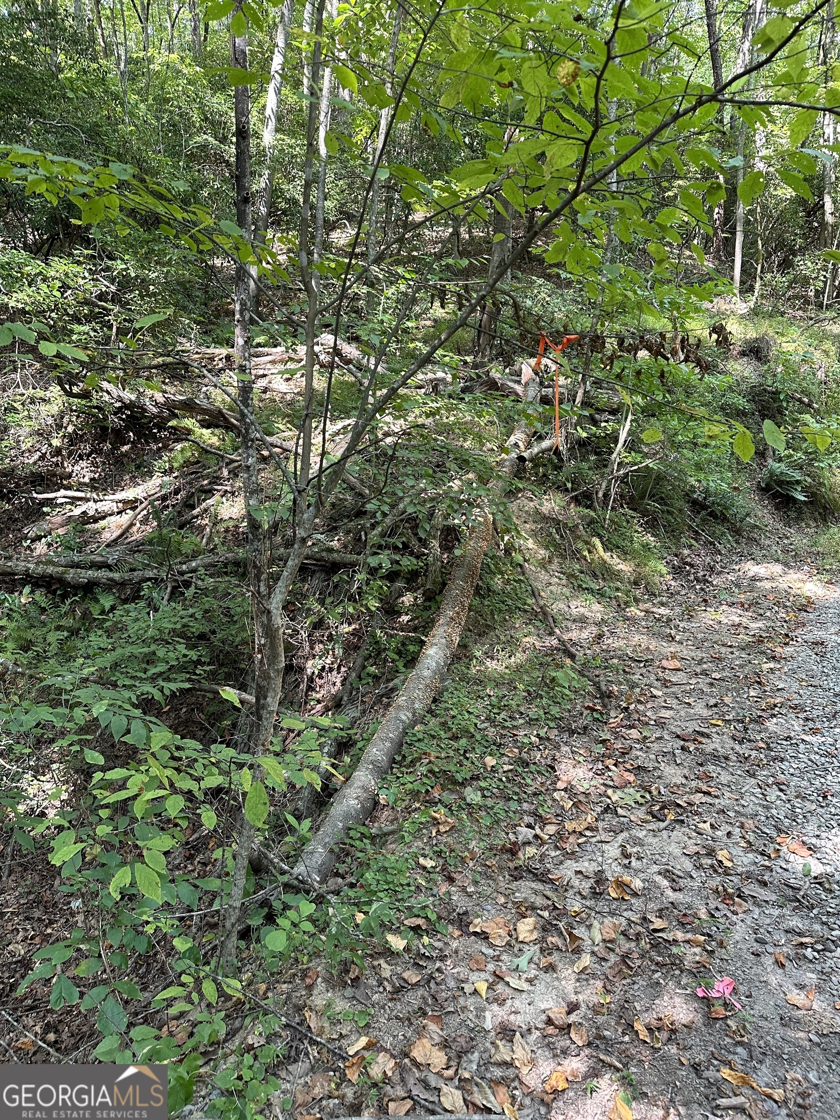 TRACT A Fielder RD