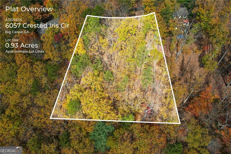 6057 Crested Iris CIR