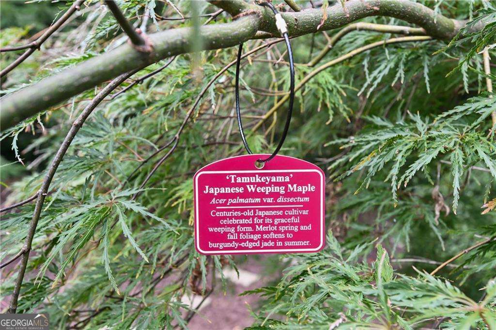 Peachtree Hills - Residential