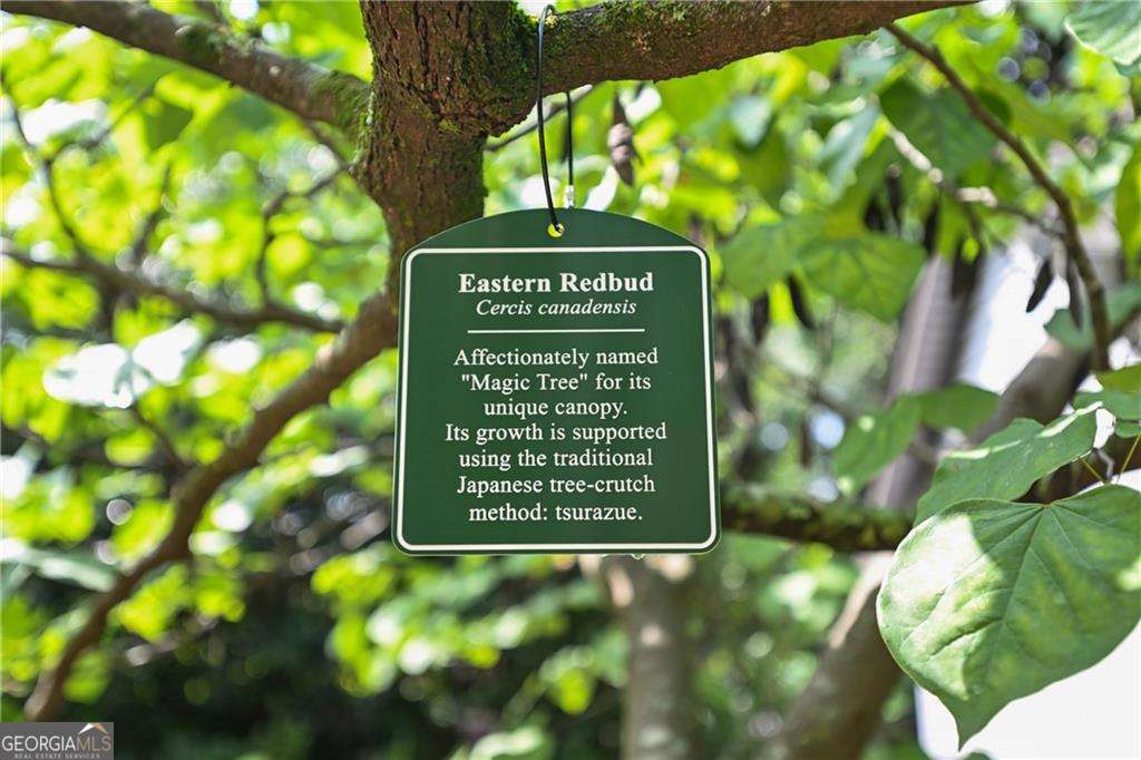 Peachtree Hills - Residential