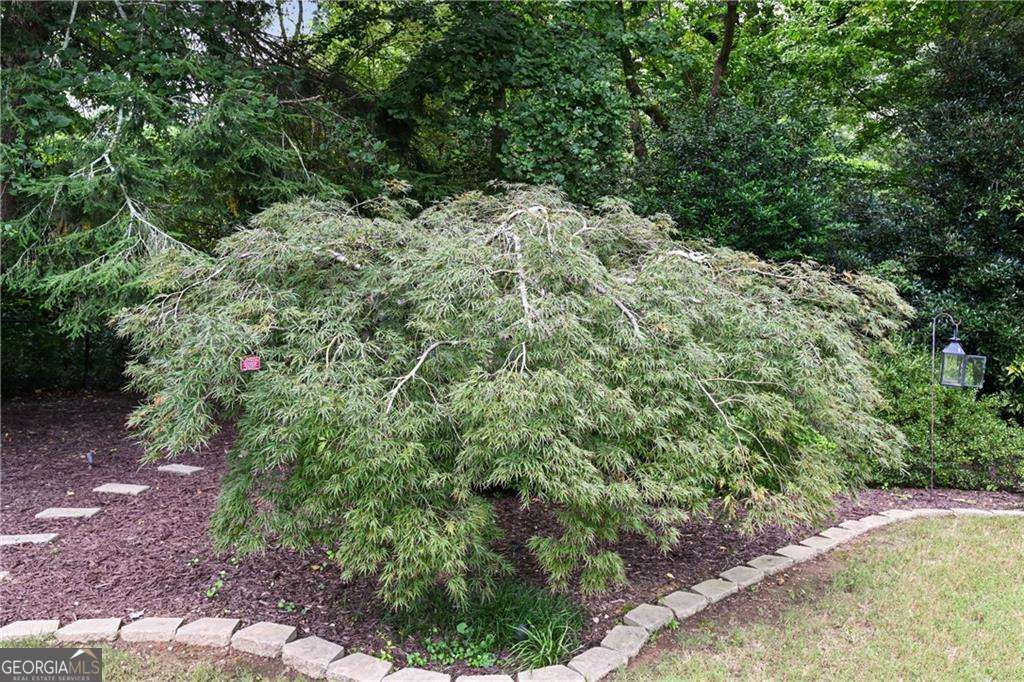 Peachtree Hills - Residential