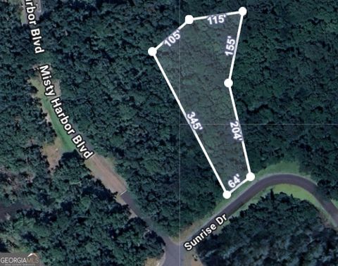 LOT 165 Sunrise DR Woodbine GA 31569