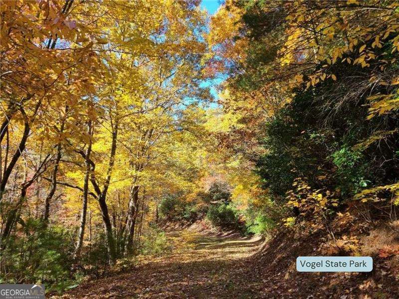 Blairsville, Georgia 30512, United States, 2 Bedrooms Bedrooms, ,2 BathroomsBathrooms,Residential,Active,120580