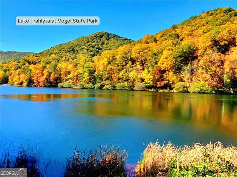 Blairsville, Georgia 30512, United States, 2 Bedrooms Bedrooms, ,2 BathroomsBathrooms,Residential,Active,120580