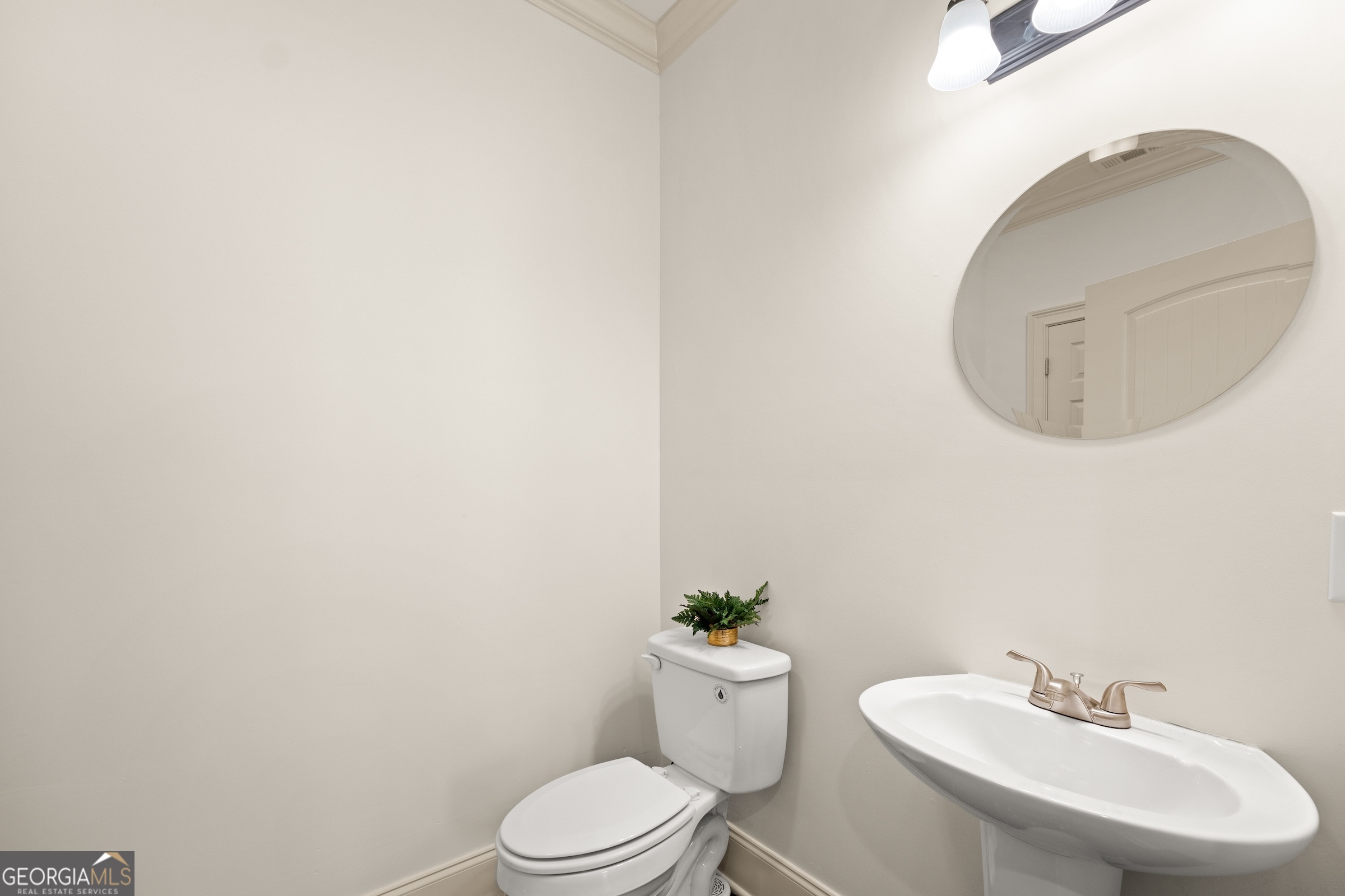 Cleveland, Georgia 30528, United States, ,Commercial,Active,18749