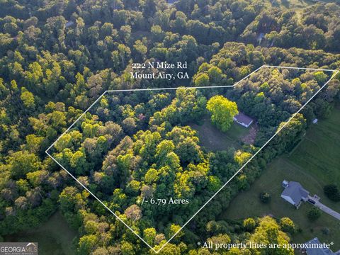 Photo of 222 N Mize Road, Mount Airy, GA 30563 (MLS # 10630614) Photo of 222 N Mize Road, Mount Airy, GA 30563 (MLS # 10630614)