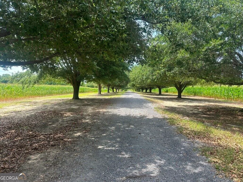 1808 Wire Road, Norway, SC, 29113