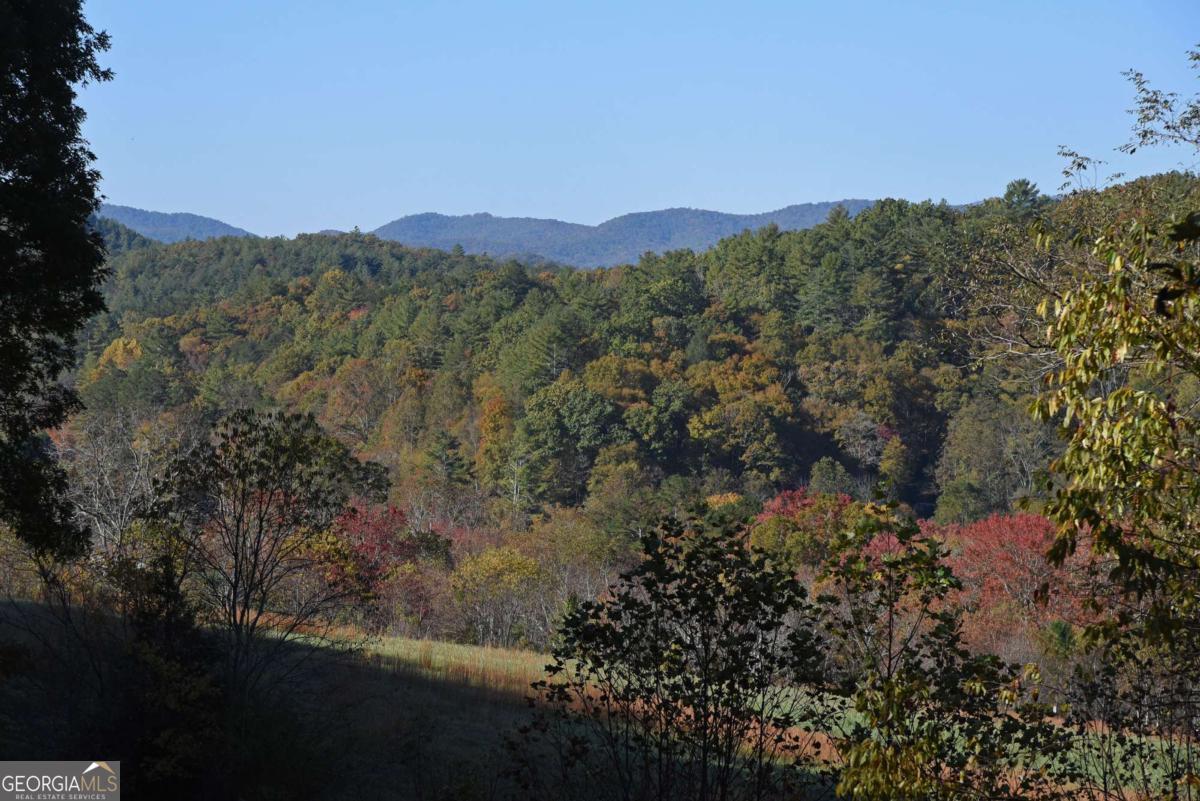 160 Mountain Field DR
