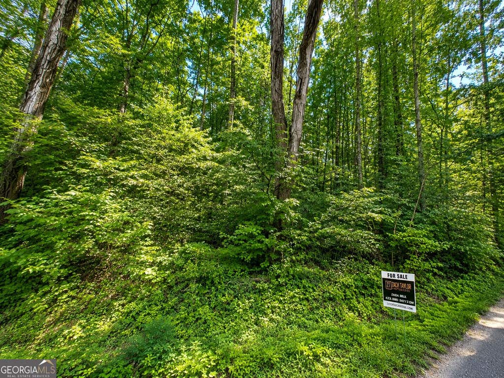 Photo of 00 Salem Road, Rossville, GA 30741 (MLS # 10827027)